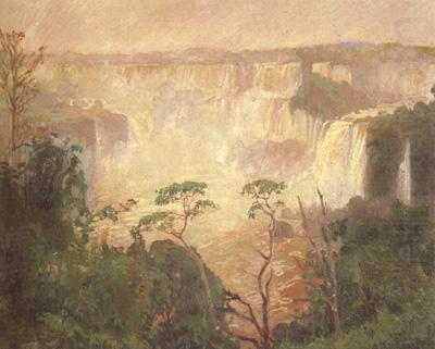 Pedro Blanes Cataracts of the Iguazu (nn02) china oil painting image